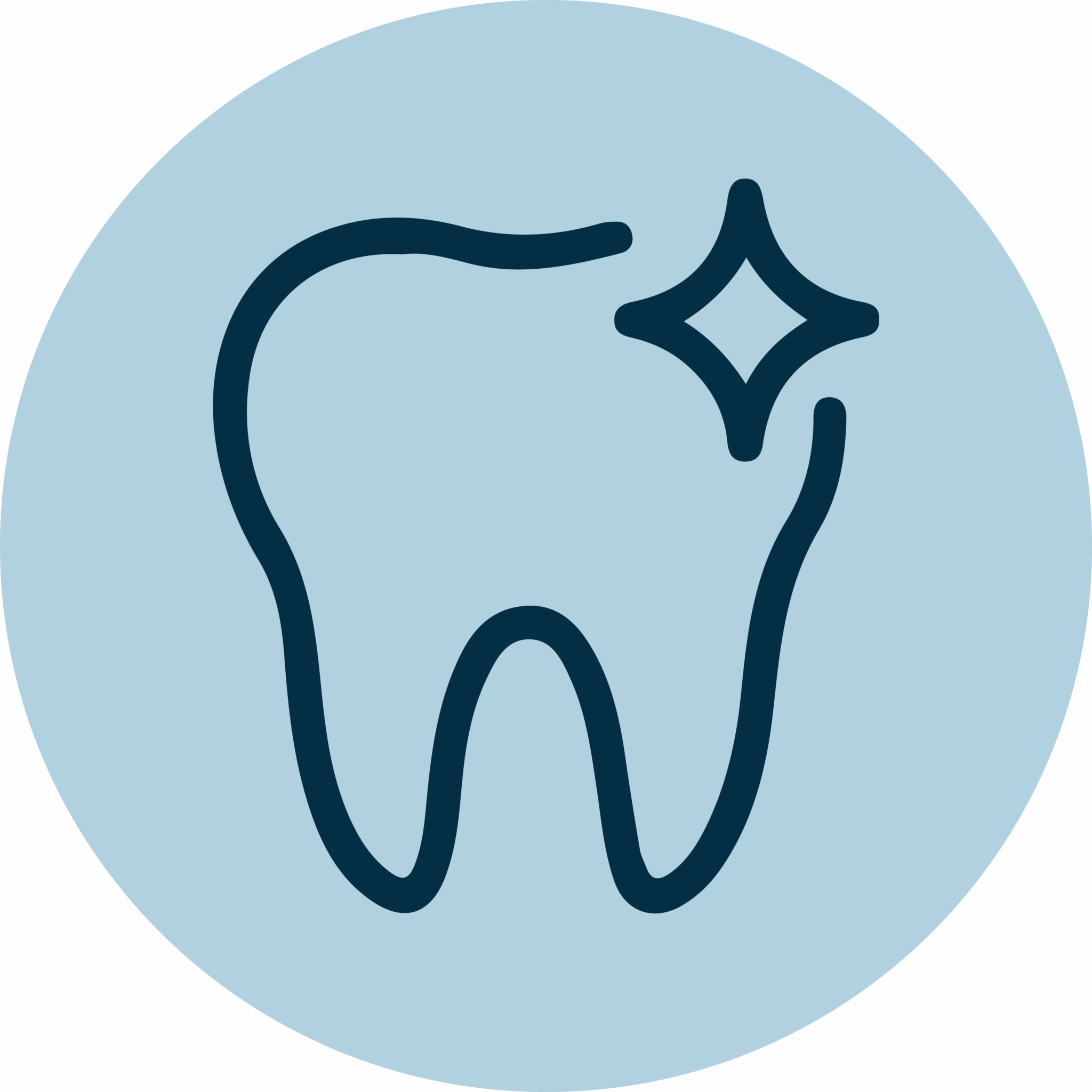 Tooth Icon