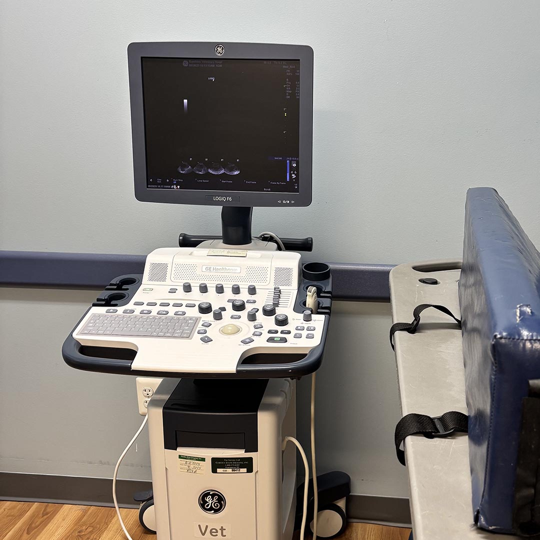 ultrasound machine in an exam room