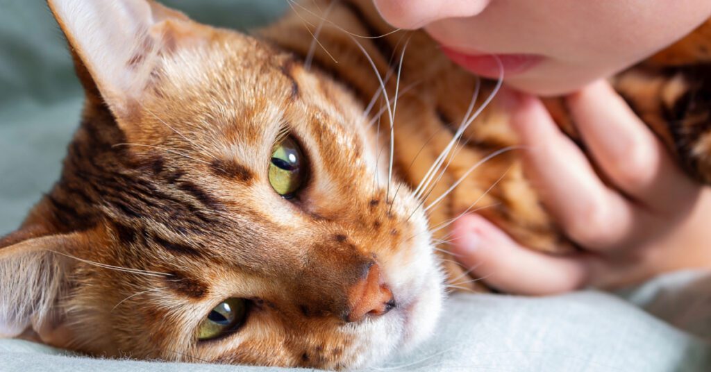 close up of worried owner leaning over cat laying on the floor